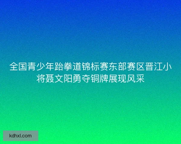 全国青少年跆拳道锦标赛东部赛区晋江小将聂文阳勇夺铜牌展现风采